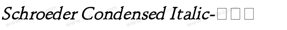 Schroeder Condensed Italic字体转换